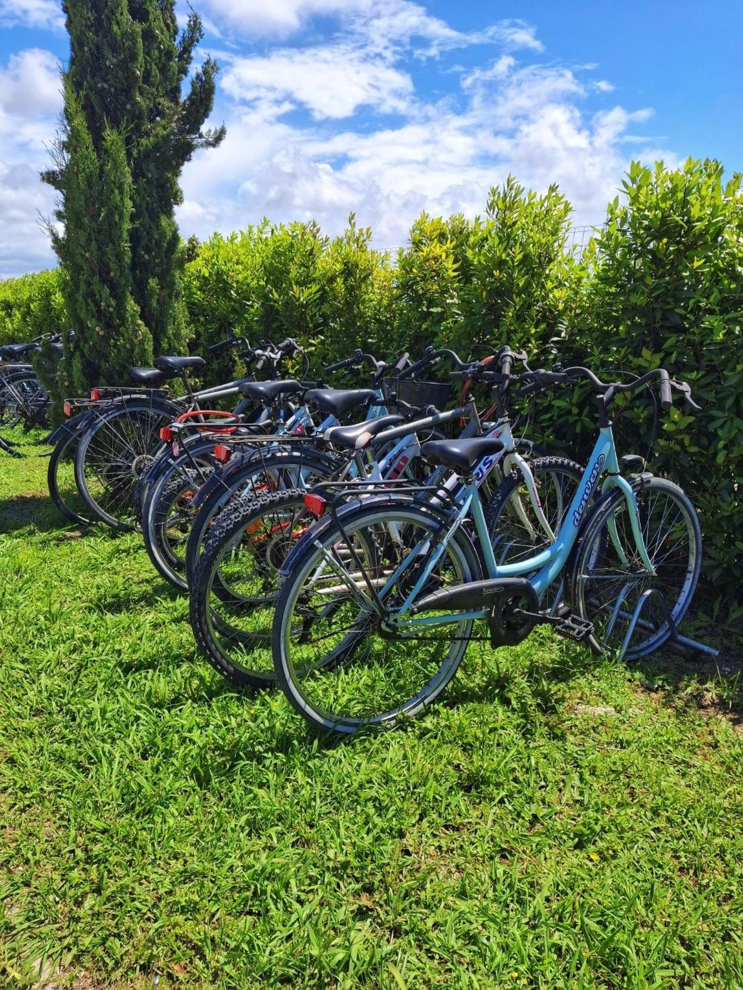 Delfino Tuscany Resort Marina di Cecina Exterior photo